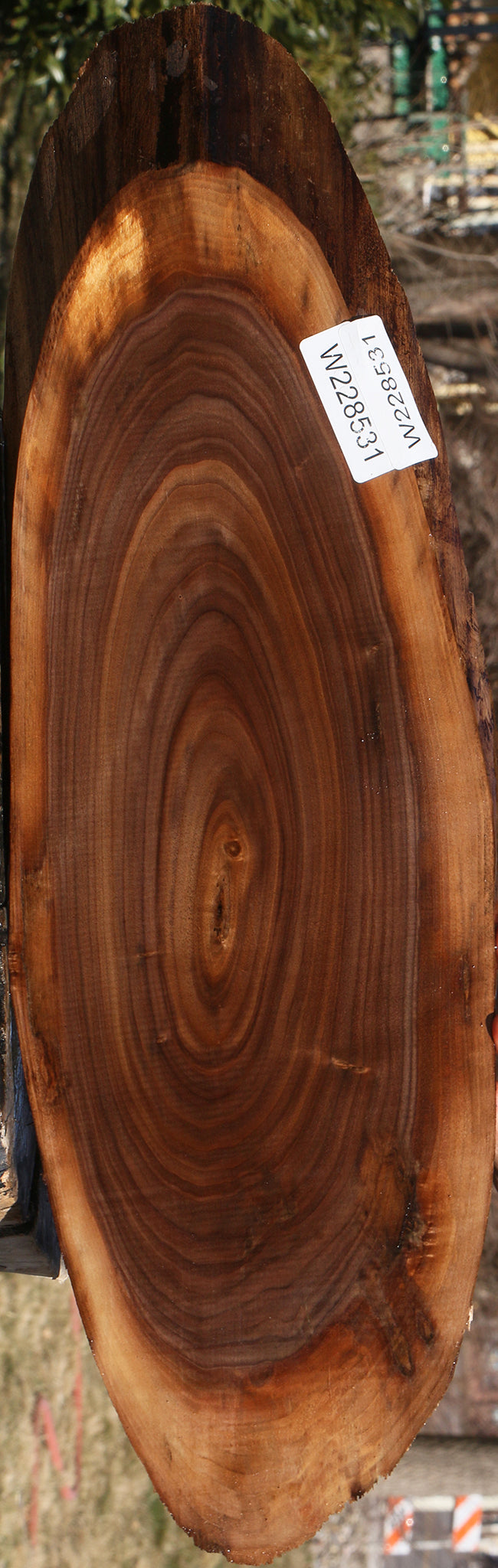 Eastern Walnut Cookie