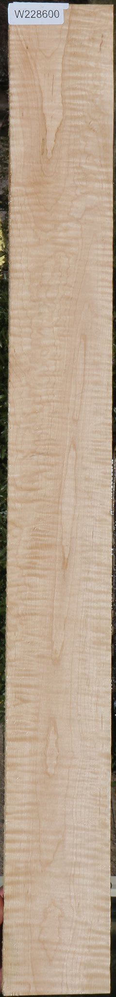 Curly Eastern Maple Lumber