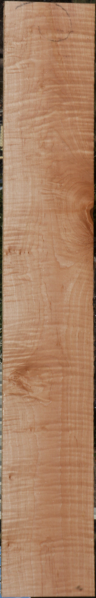Curly Eastern Maple Lumber