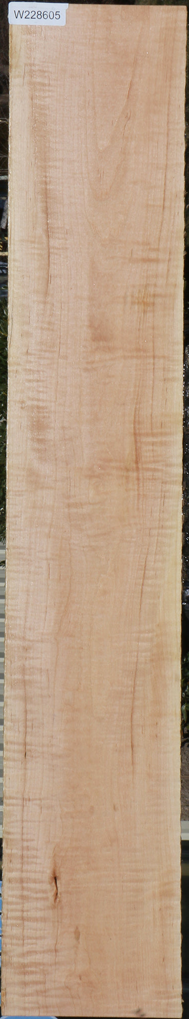 Curly Eastern Maple Lumber