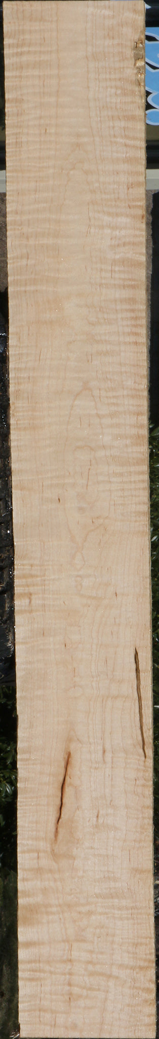 Extra Fancy Curly Eastern Maple Lumber