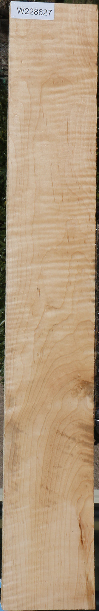 Extra Fancy Curly Eastern Maple Lumber