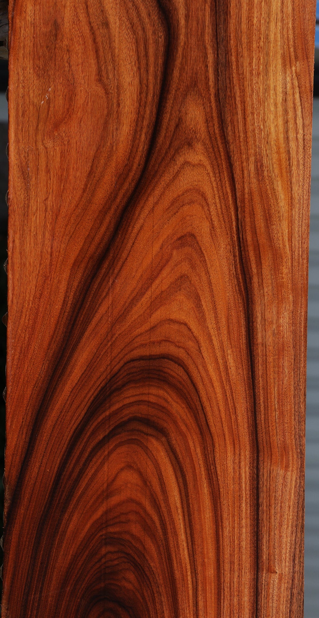 Extra Fancy Bolivian Rosewood Instrument Lumber