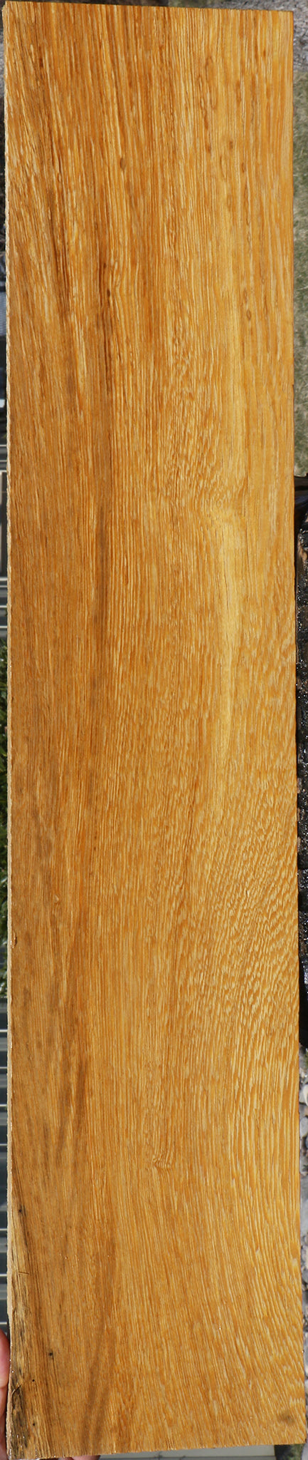 White Wenge Lumber