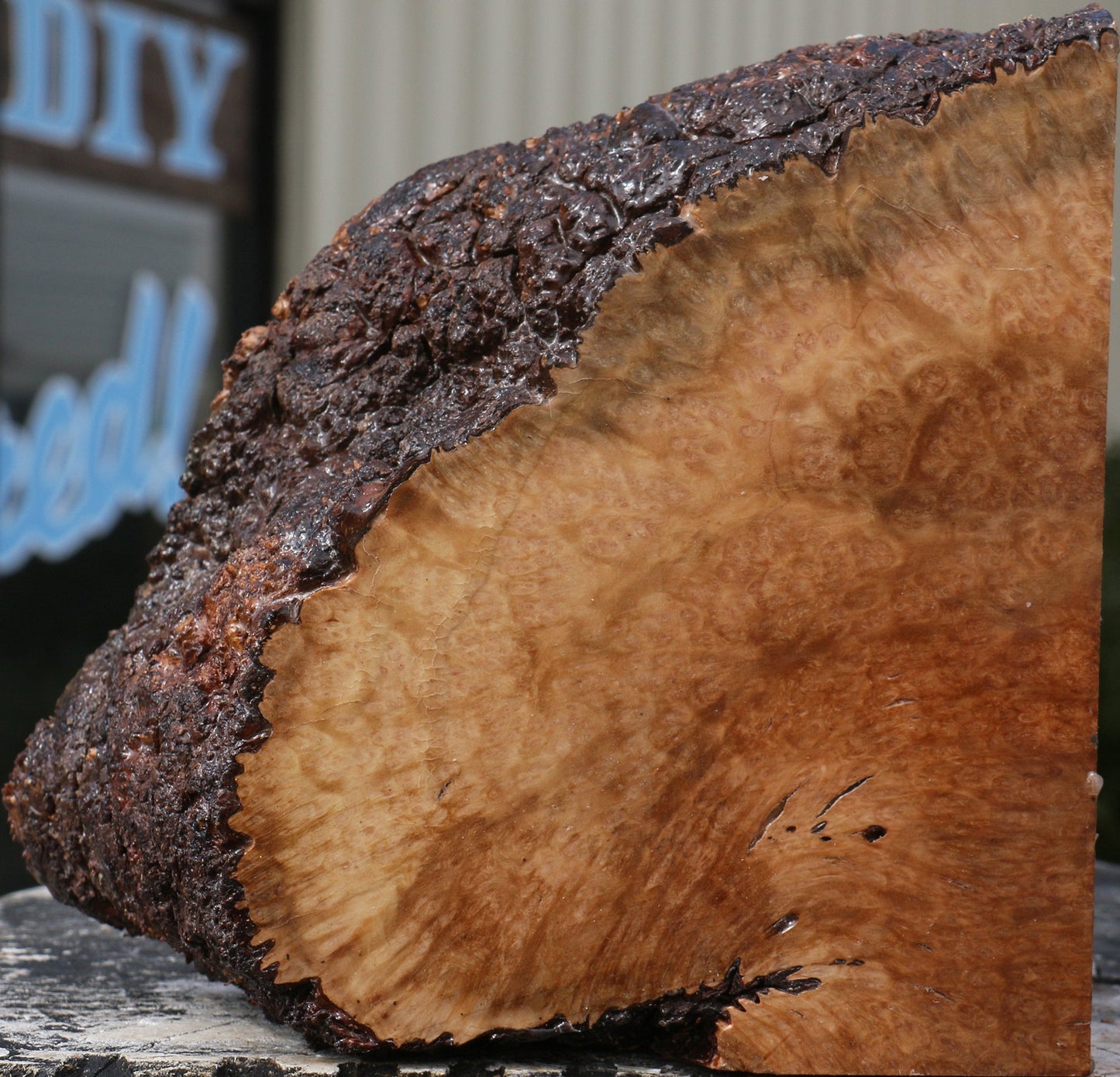 Kanista Burl Live Edge Bowl Blank