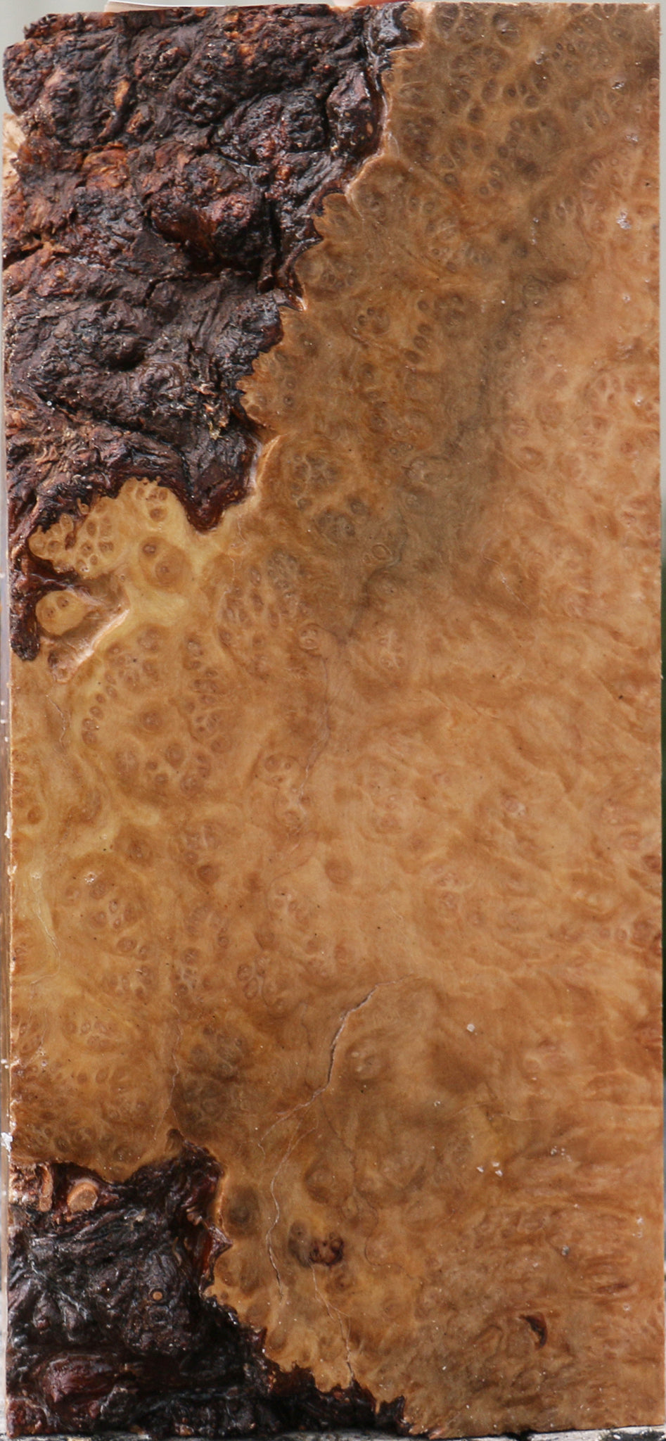 Kanista Burl Turning Blank