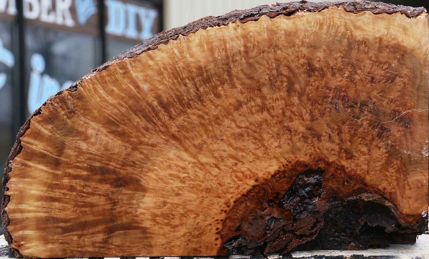Kanista Burl Live Edge Lumber