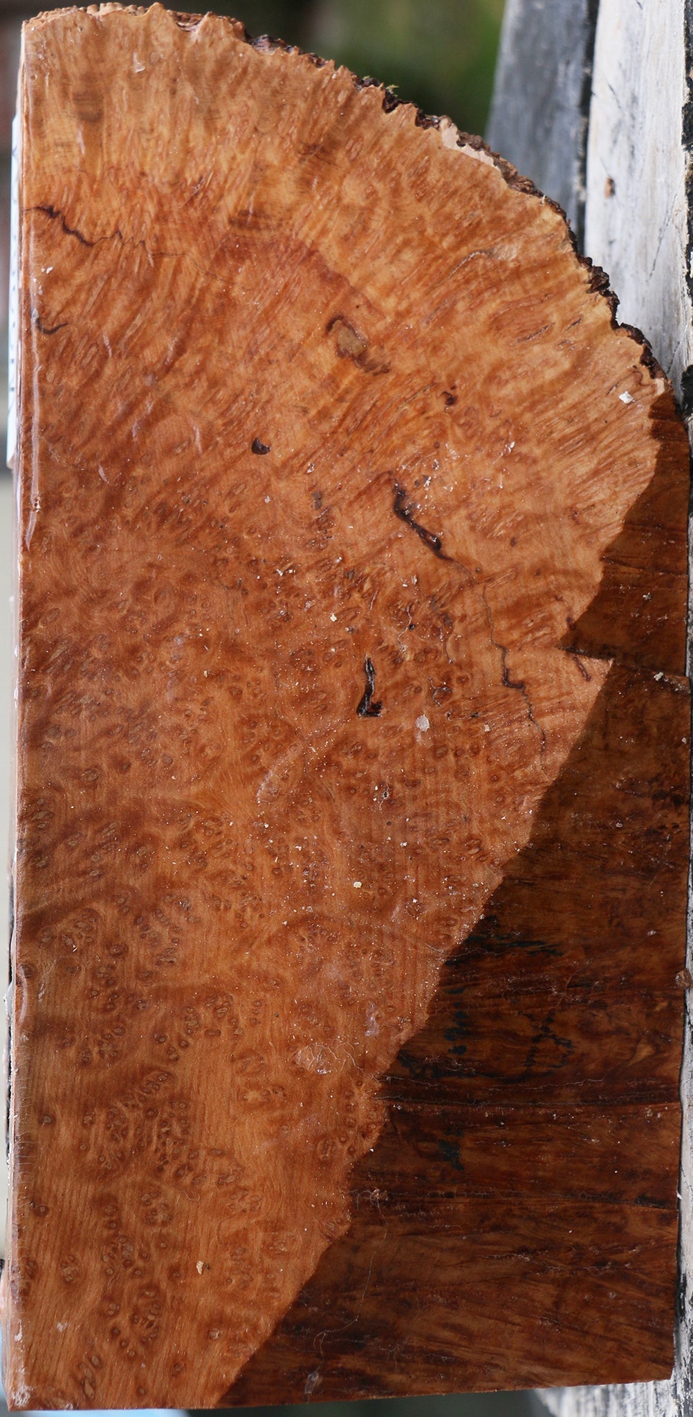 Kanista Burl Lumber