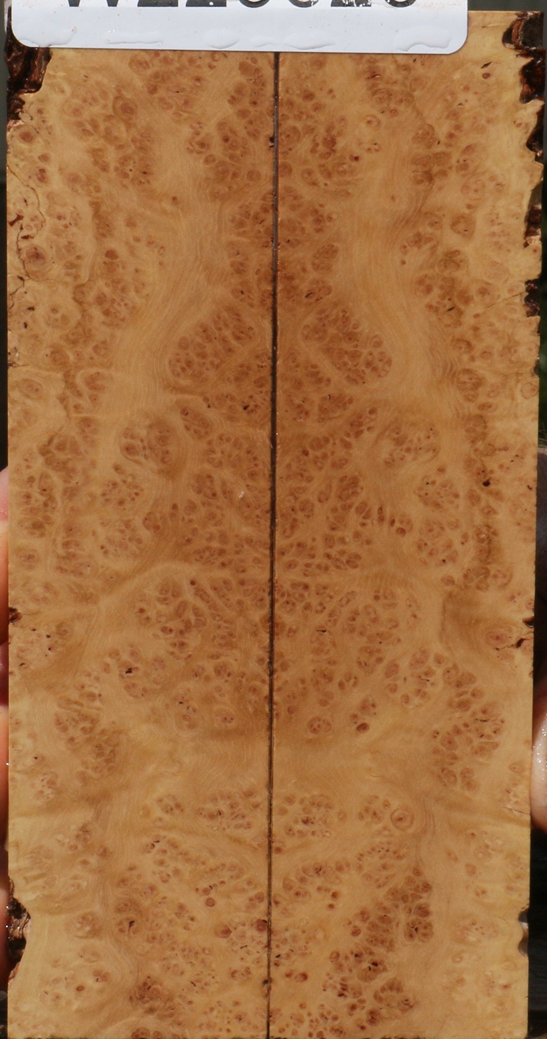 Extra Fancy Kanista Burl Knife Scales