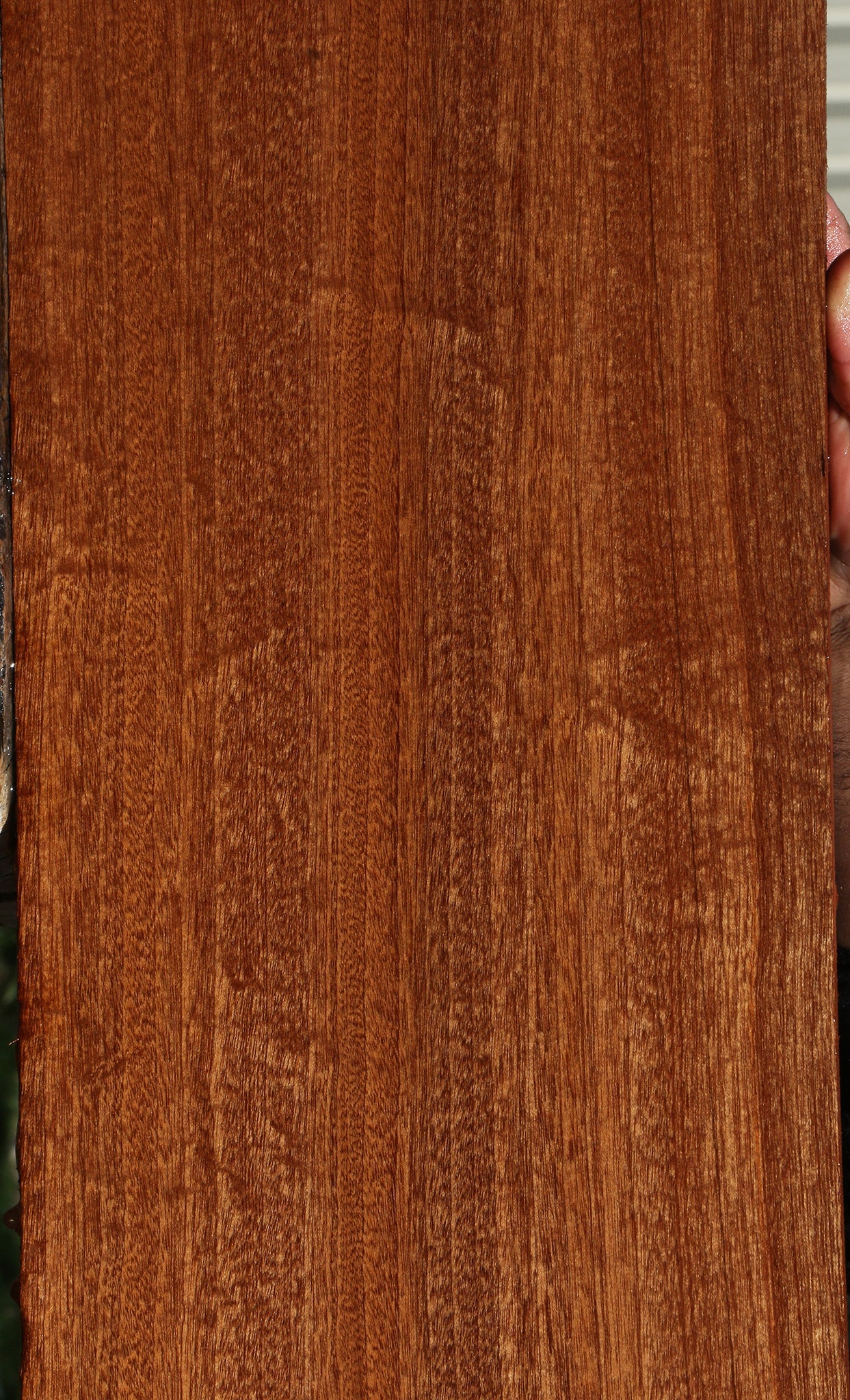 Sapele Lumber