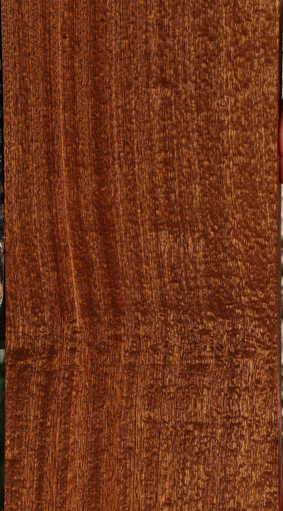 Extra Fancy Sapele Lumber