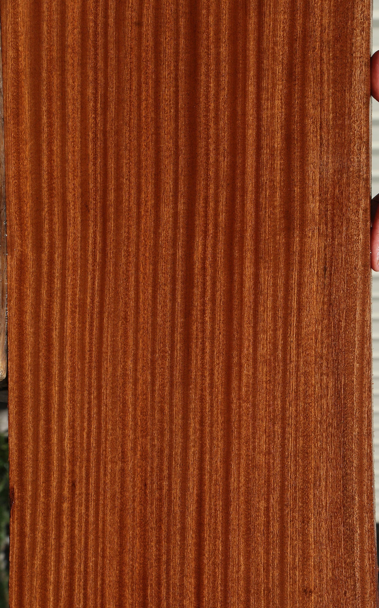 Figured Sapele Lumber