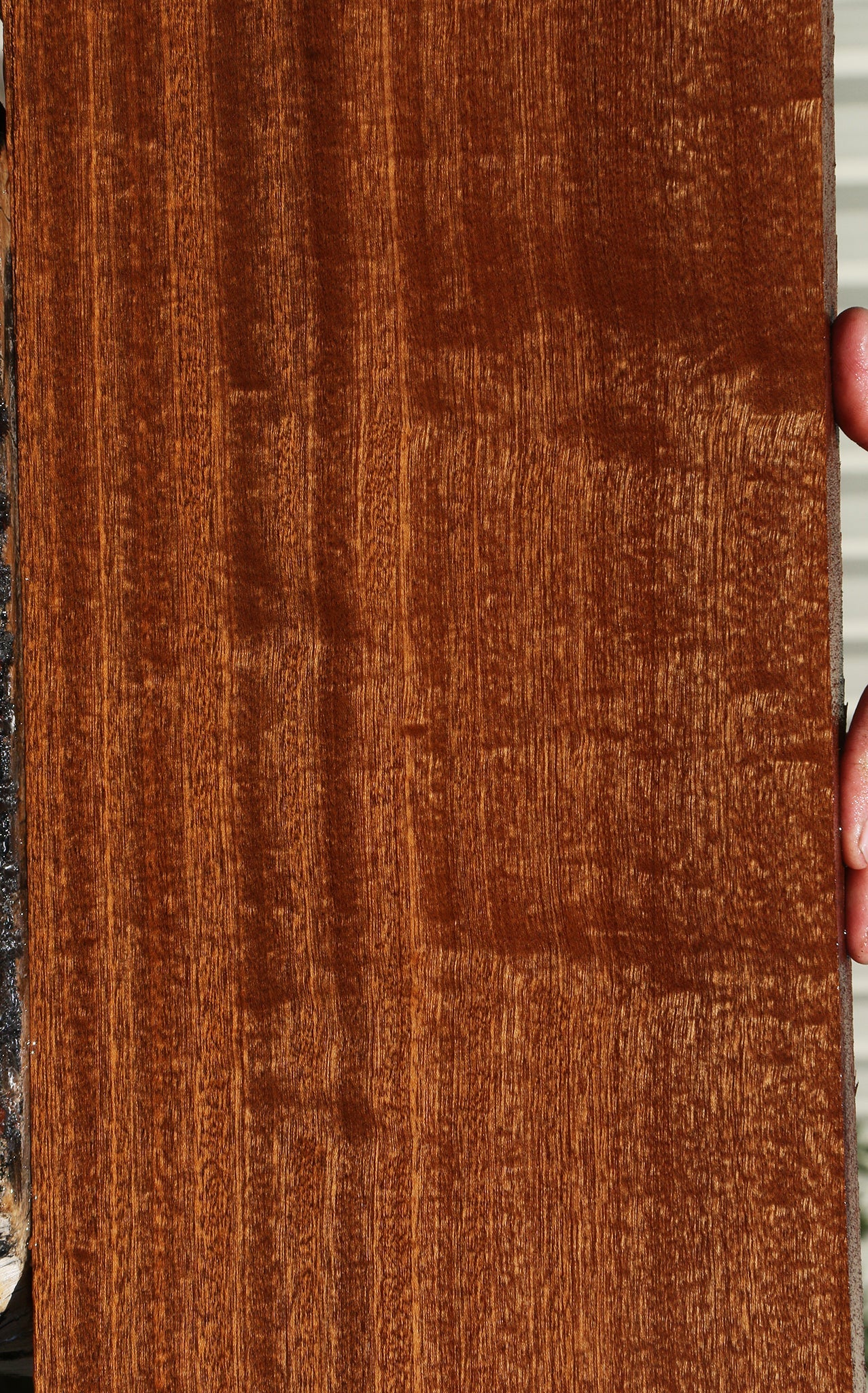 Figured Sapele Lumber