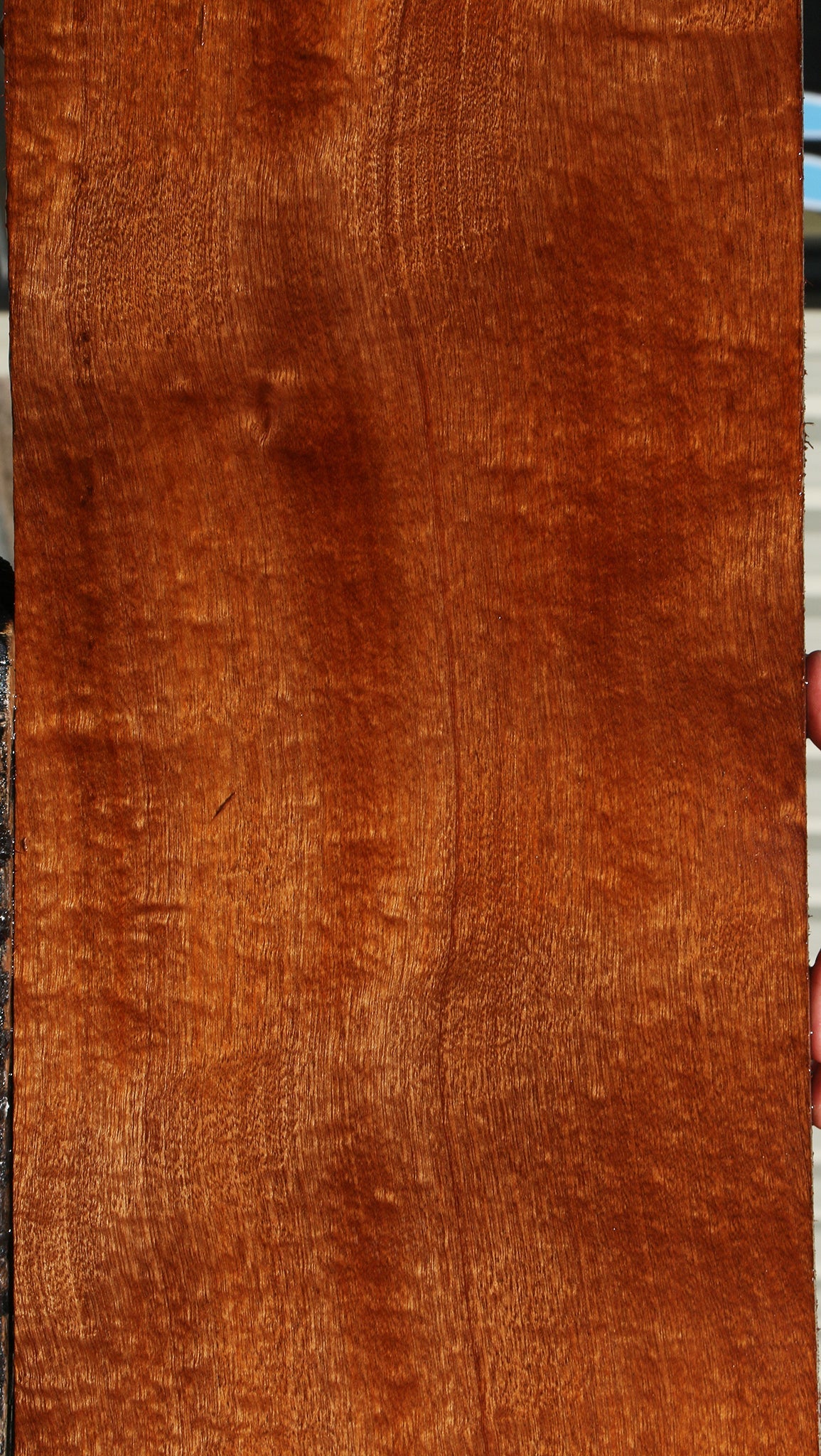 Sapele Lumber