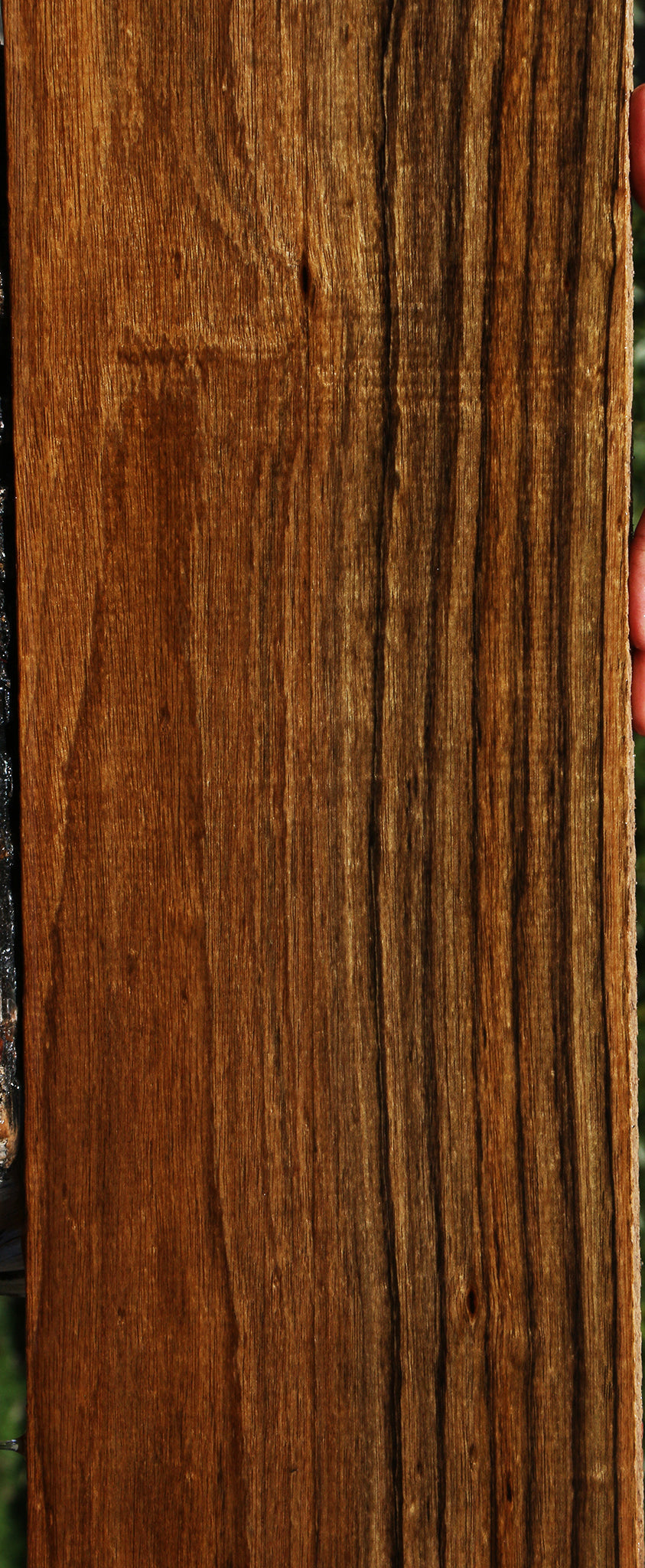 Figured Amazique Lumber