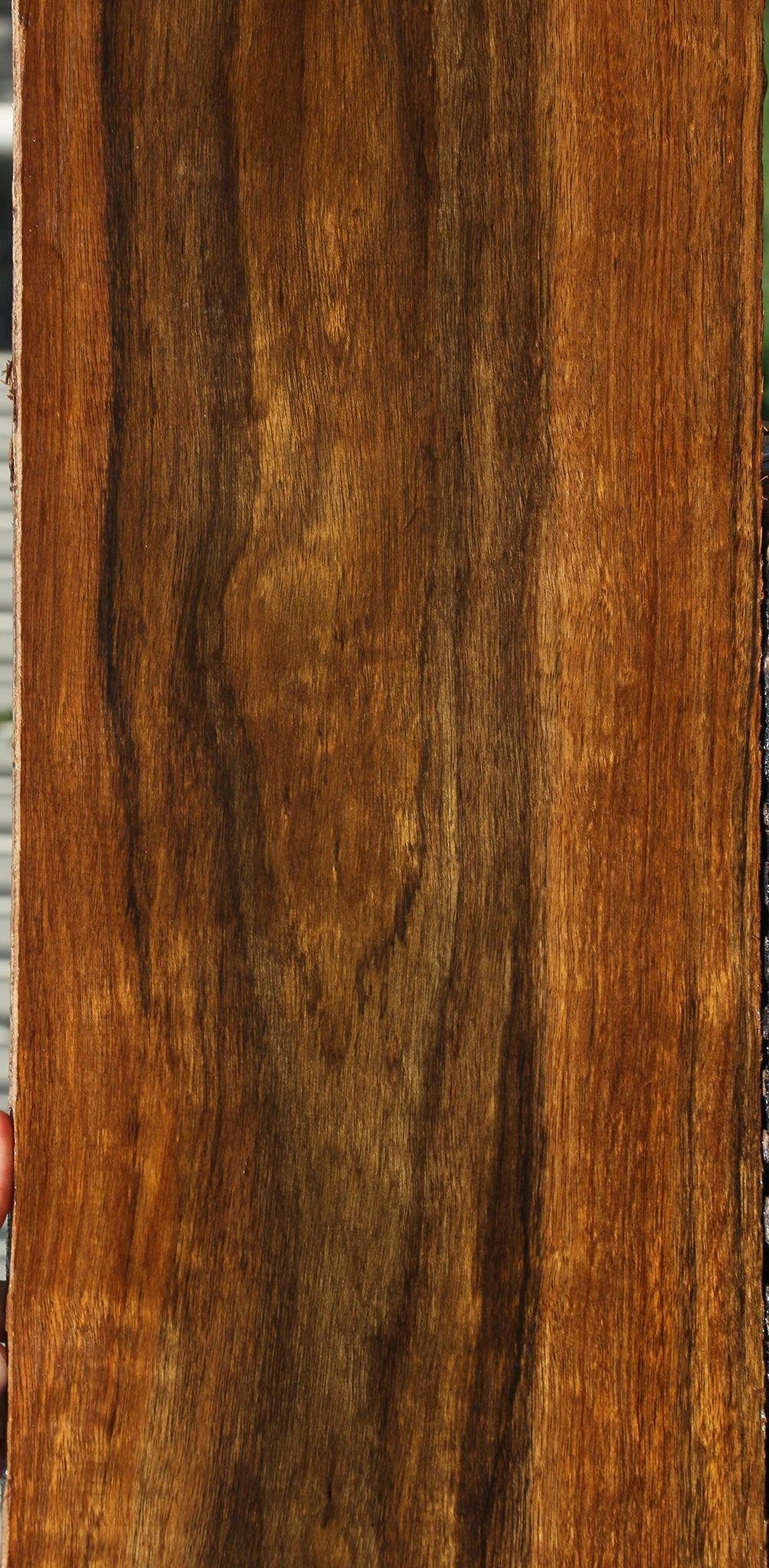 Figured Amazique Lumber