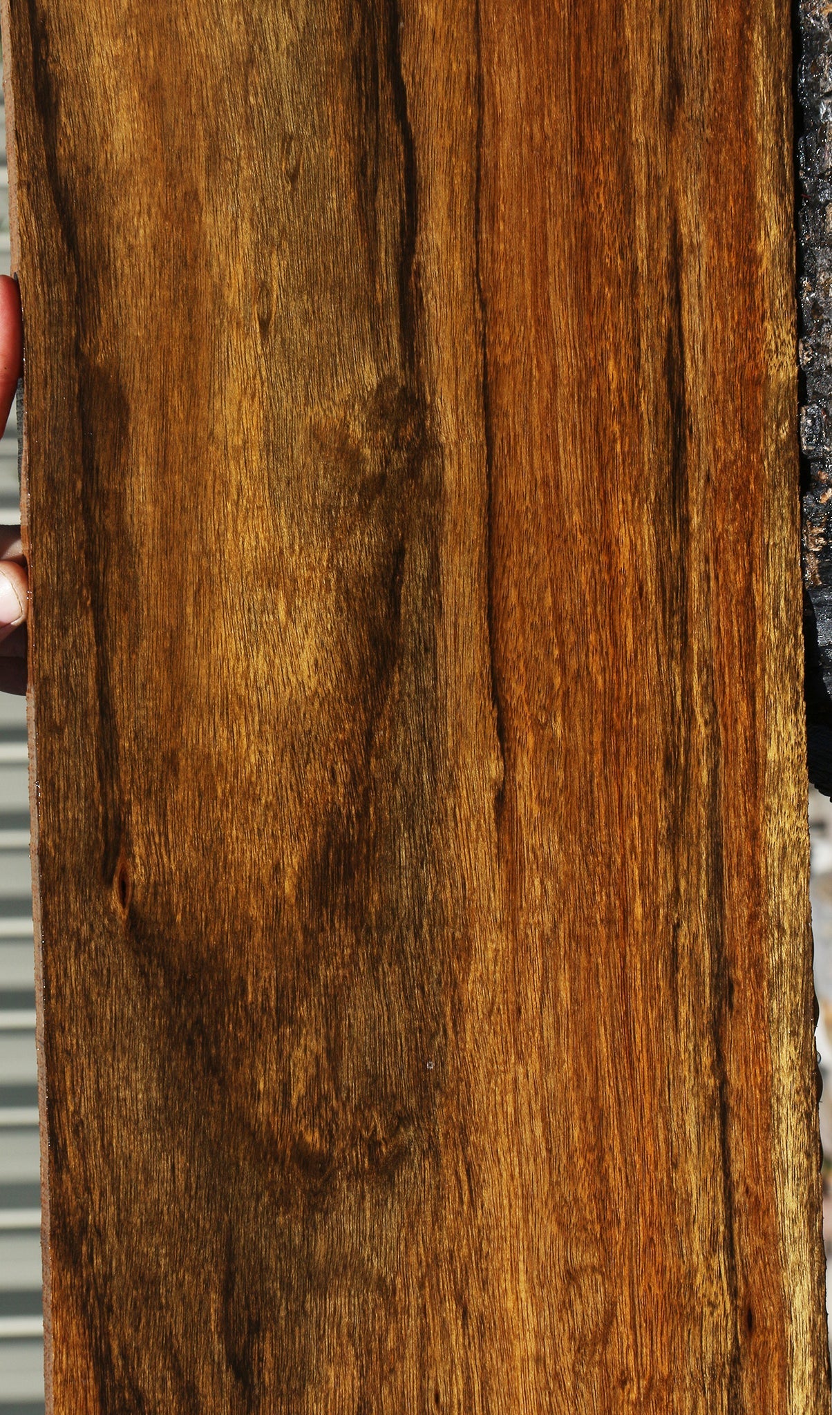 Figured Amazique Lumber