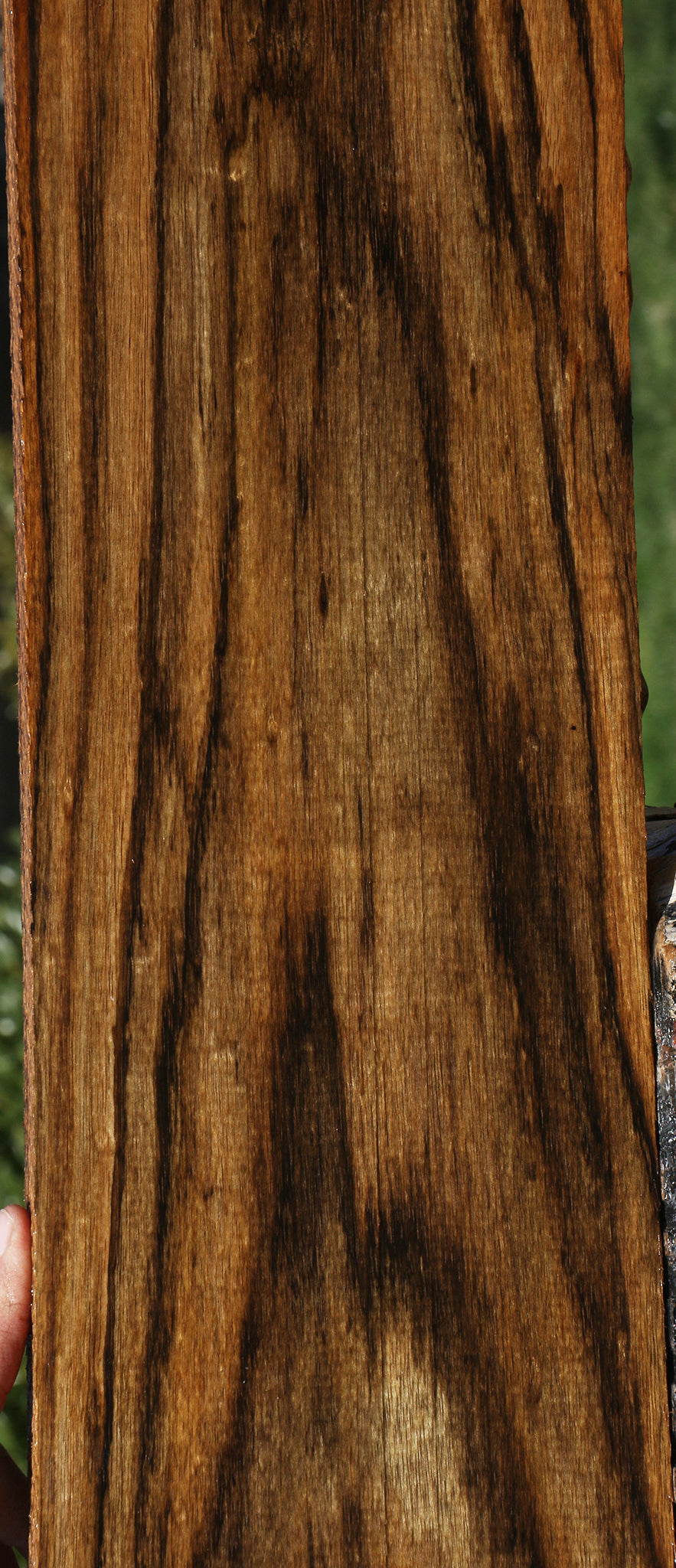 Figured Amazique Lumber