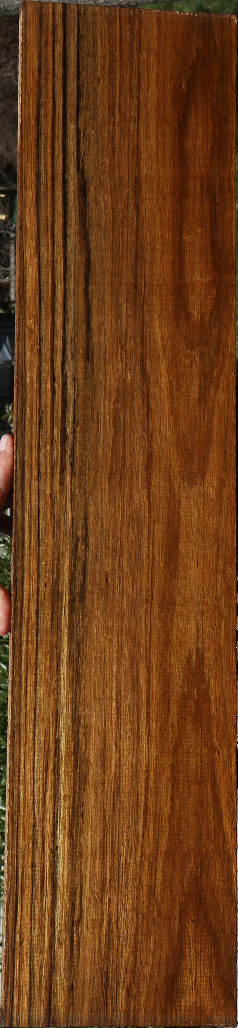 Figured Amazique Lumber