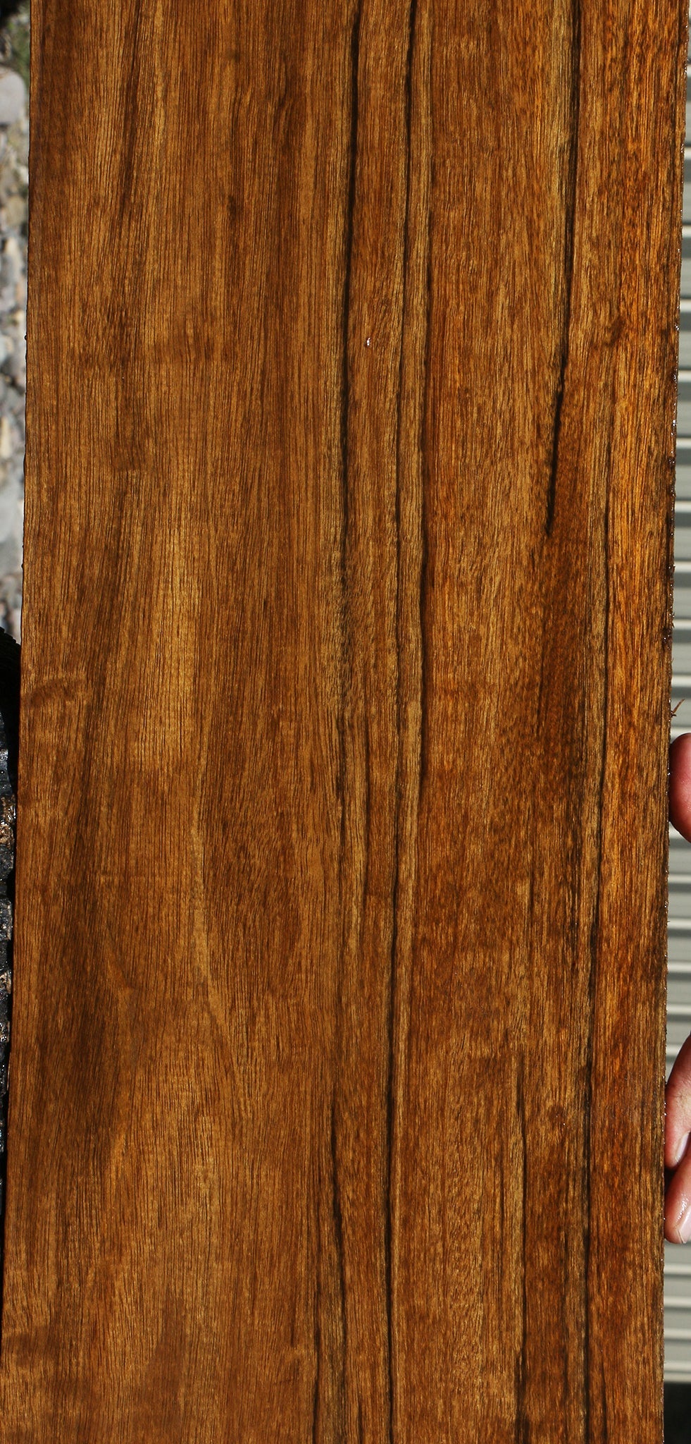 Figured Amazique Lumber