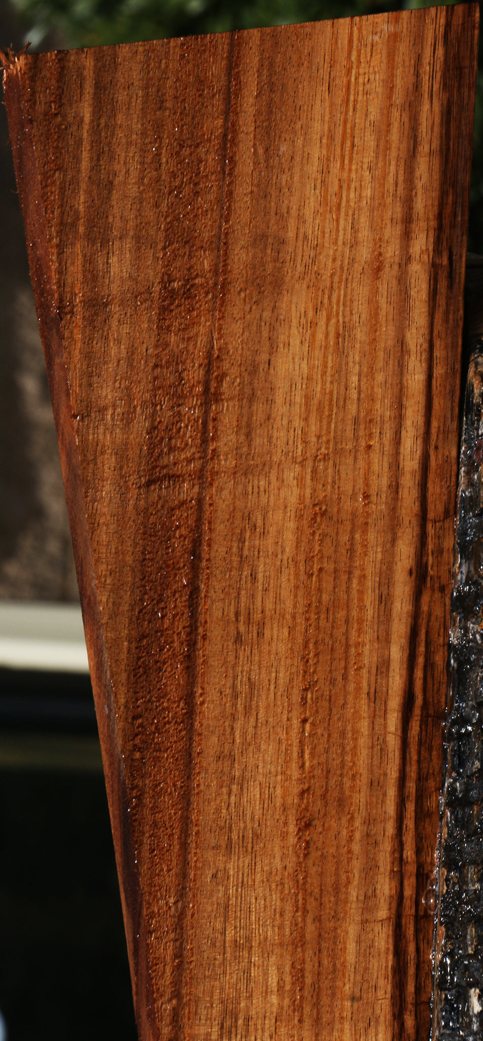 Quartersawn Monkeypod Lumber