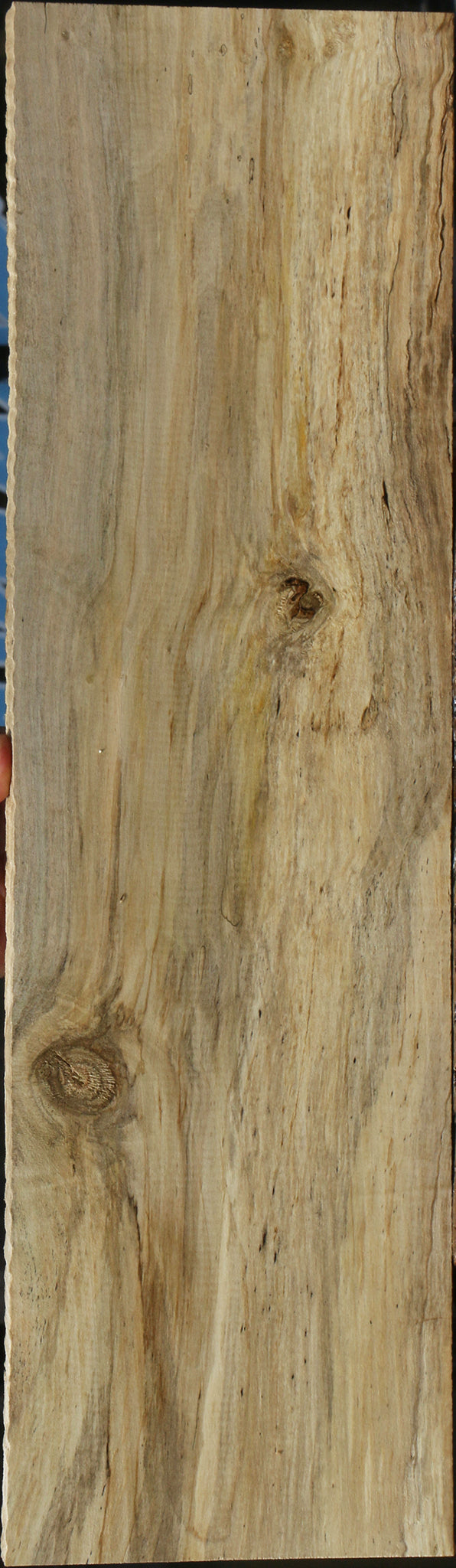 Spalted Holly Lumber