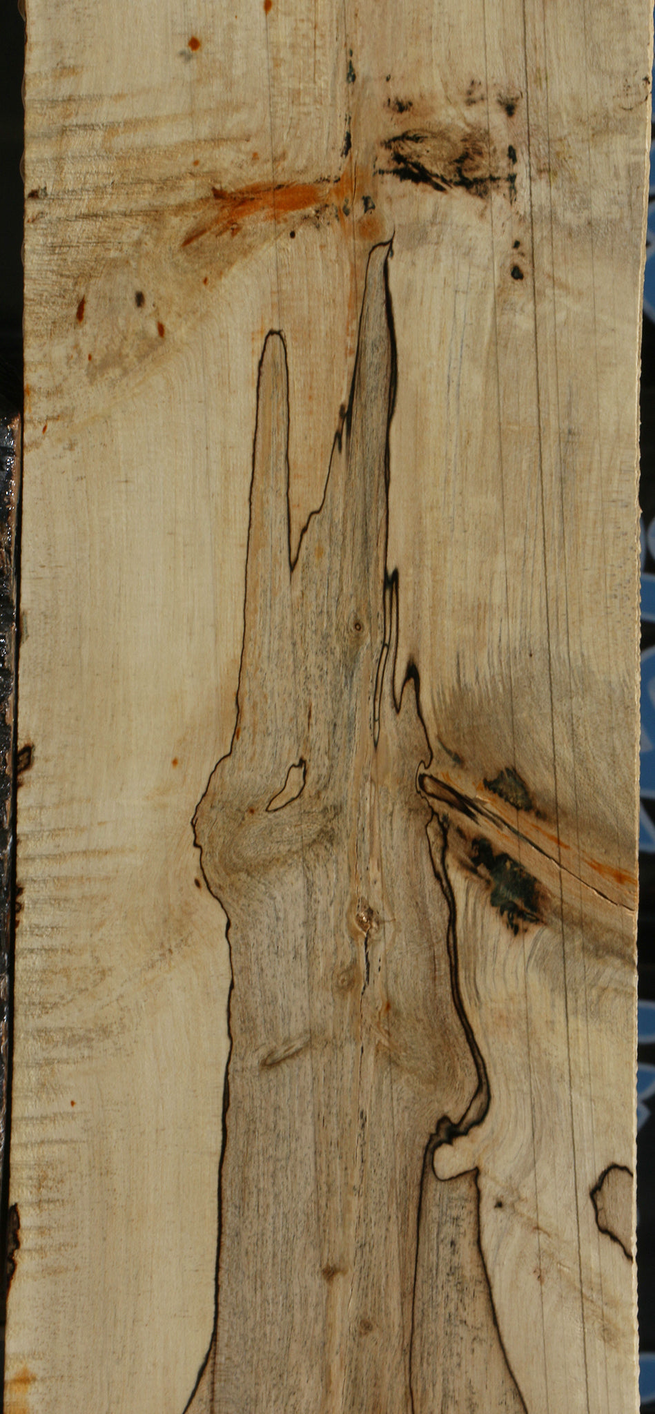 Spalted Holly Lumber