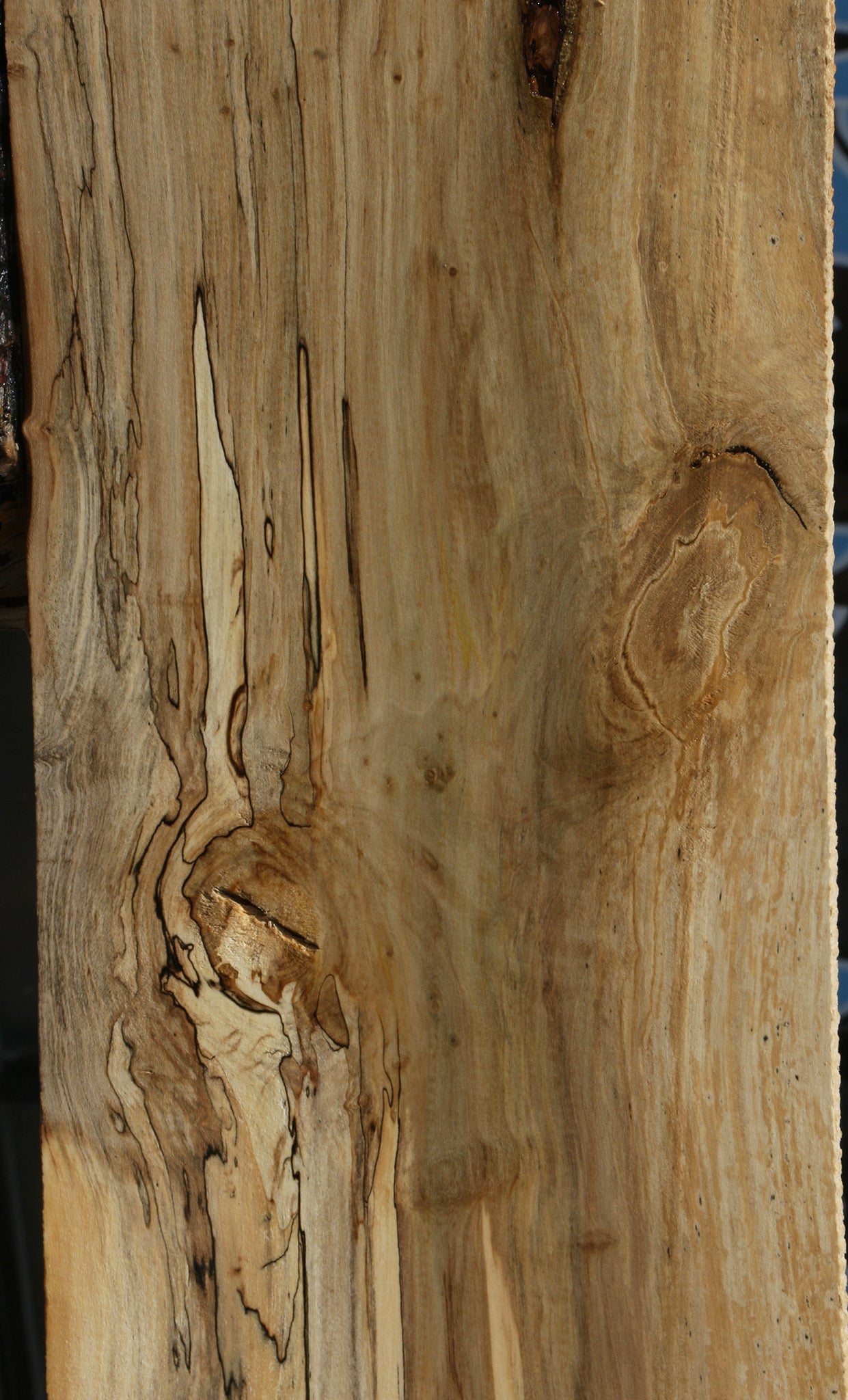 Spalted Holly Lumber