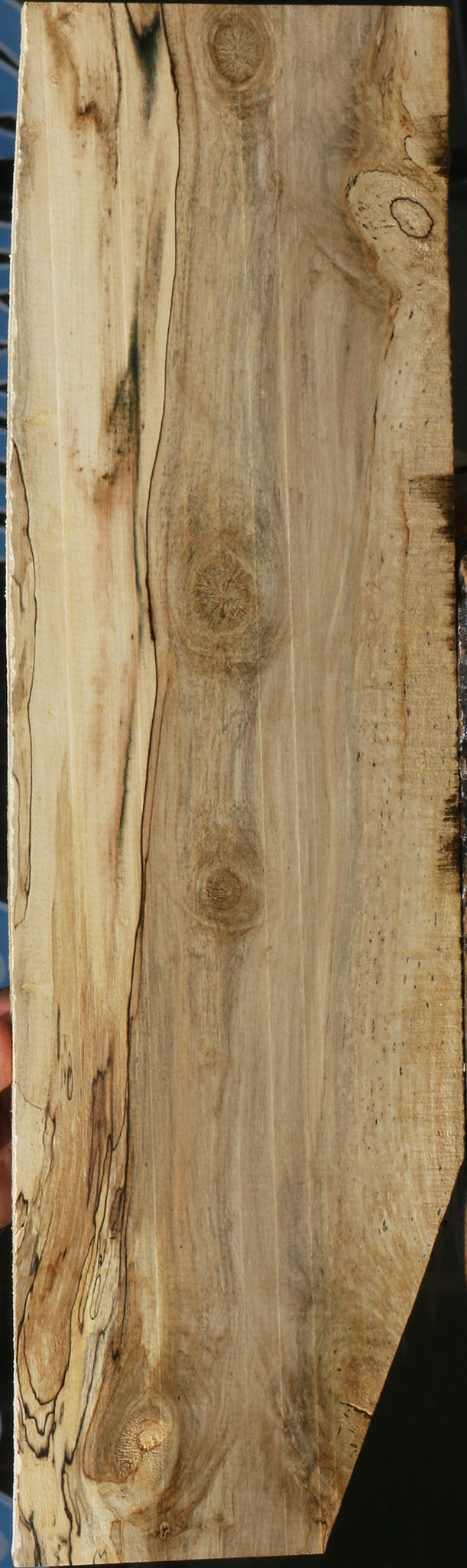 Spalted Holly Lumber
