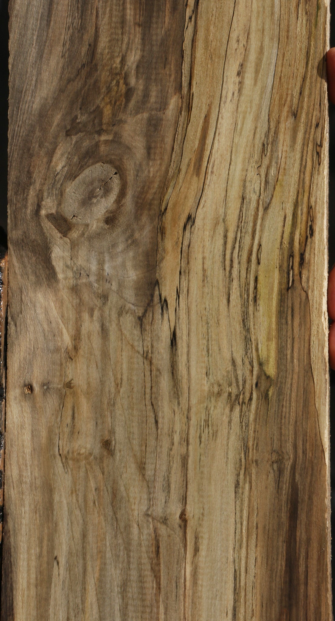 Spalted Holly Lumber