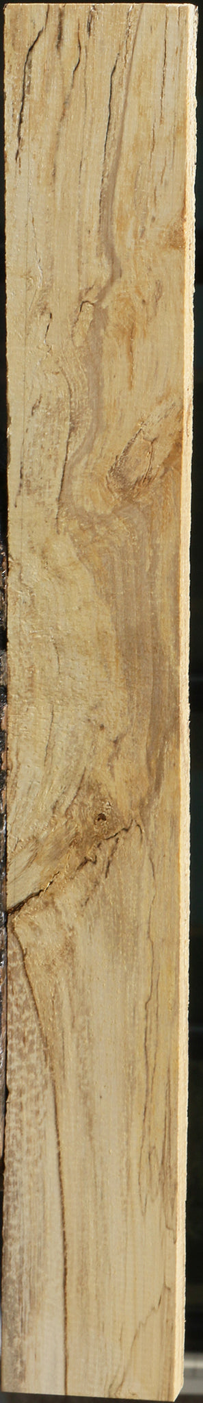 Spalted Holly Lumber
