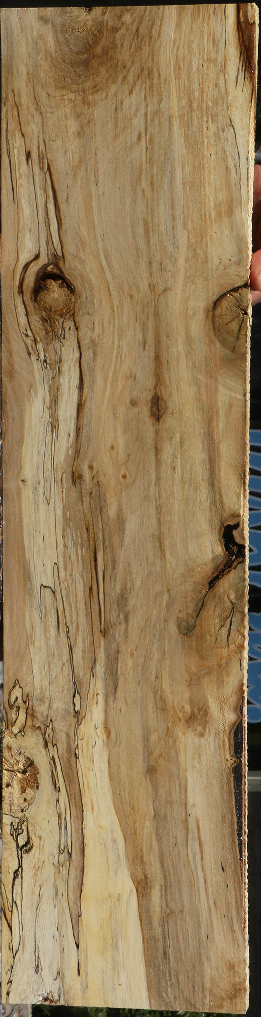Spalted Holly Lumber