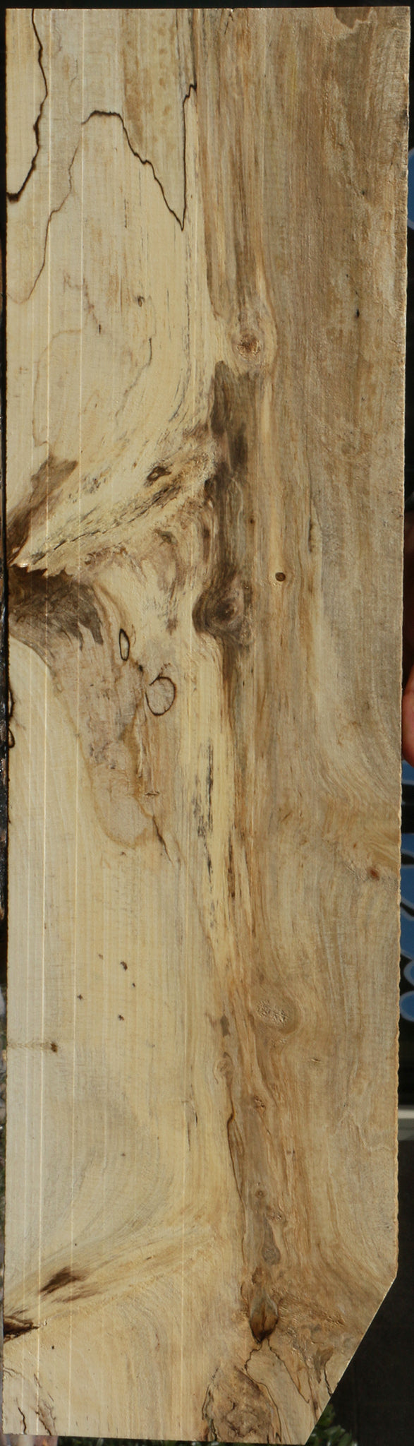 Spalted Holly Lumber