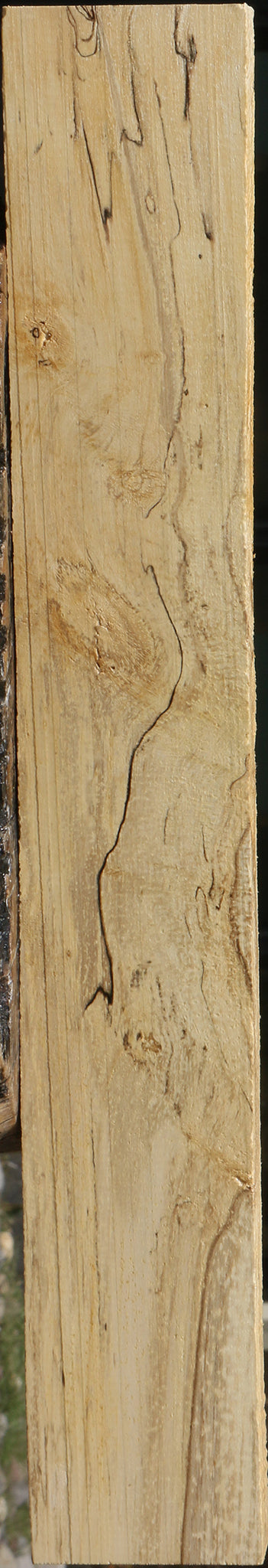 Spalted Holly Lumber