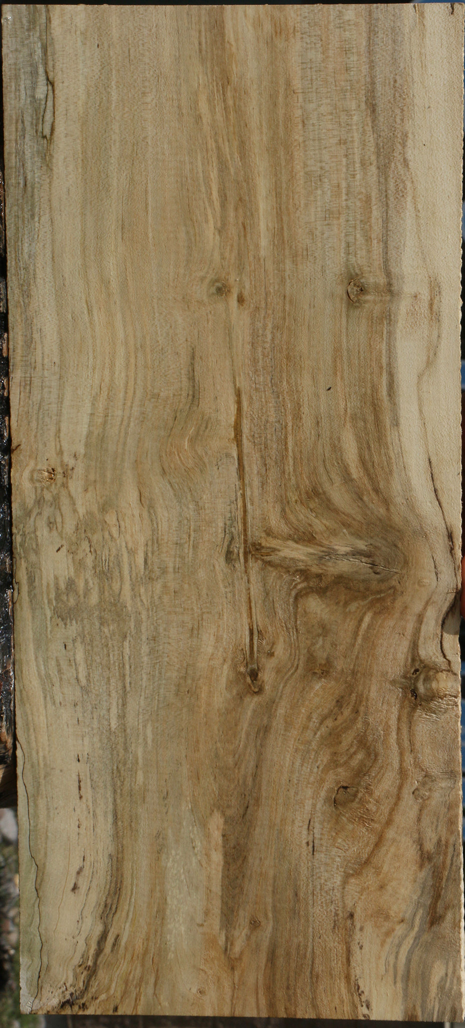 Spalted Holly Lumber