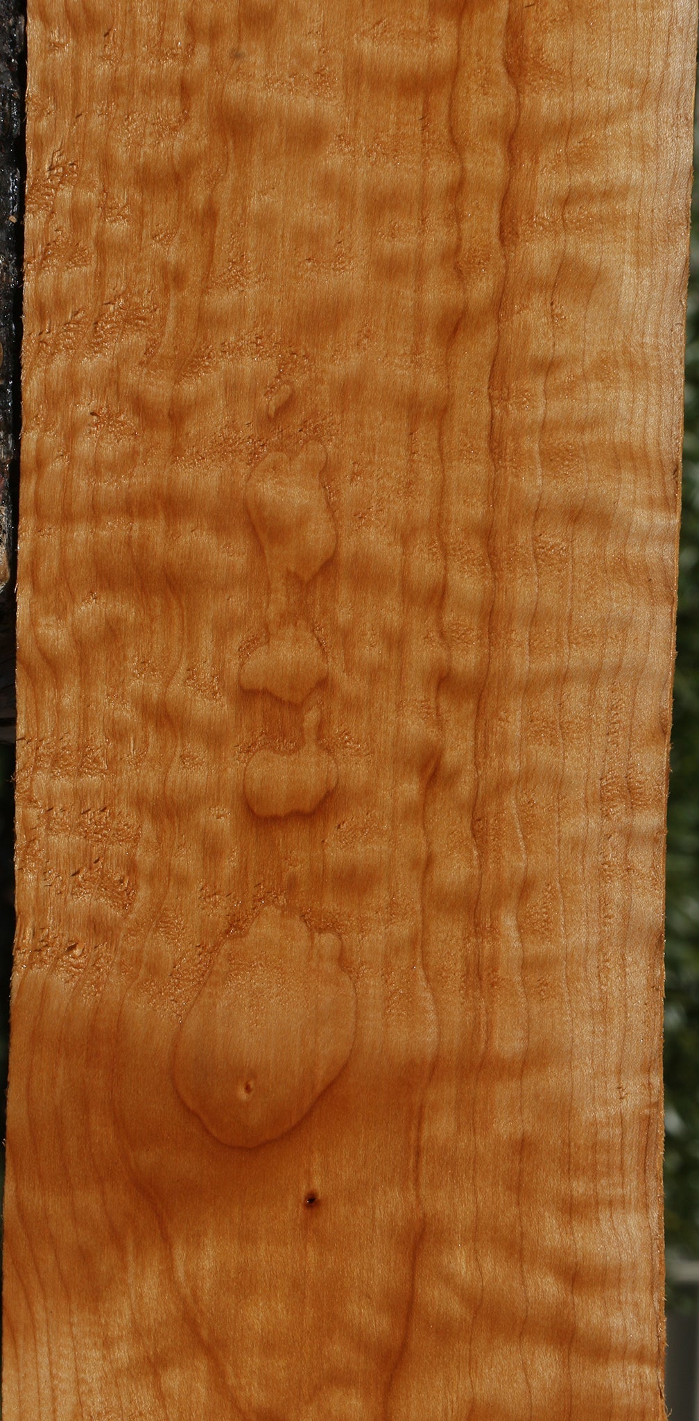 Extra Fancy Quilted Maple Lumber