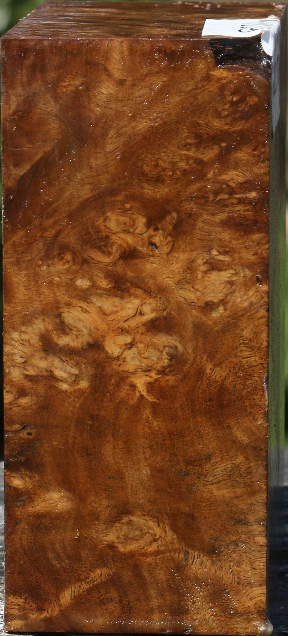 Almond Burl Bowl Blank