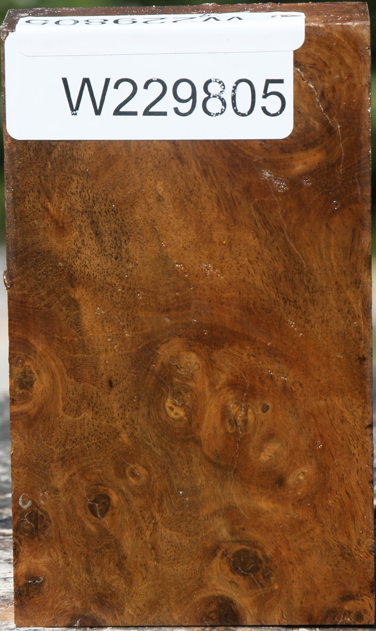 Almond Burl Lumber