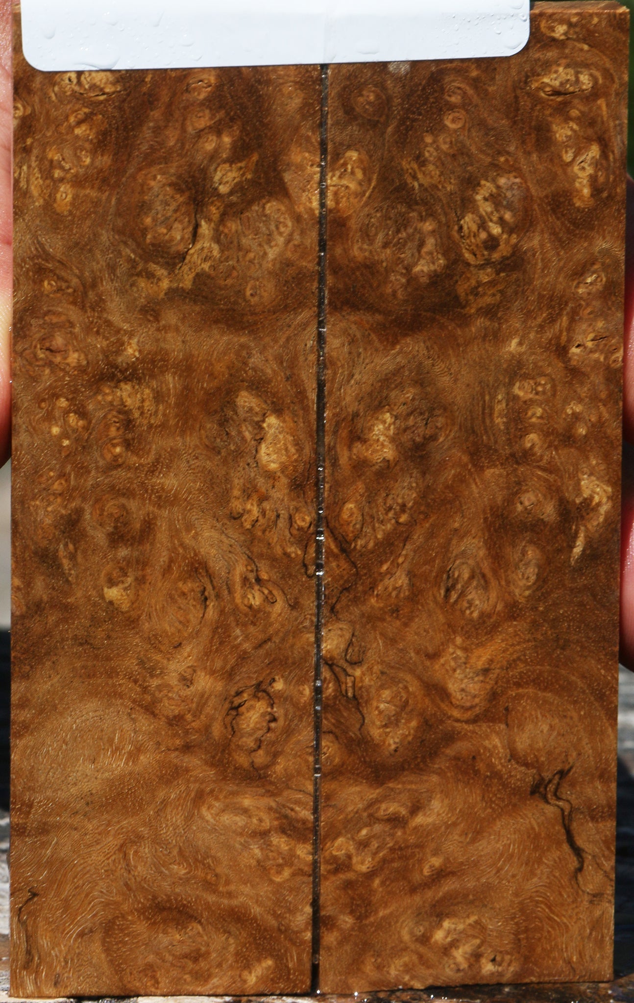 Almond Burl Knife Scales