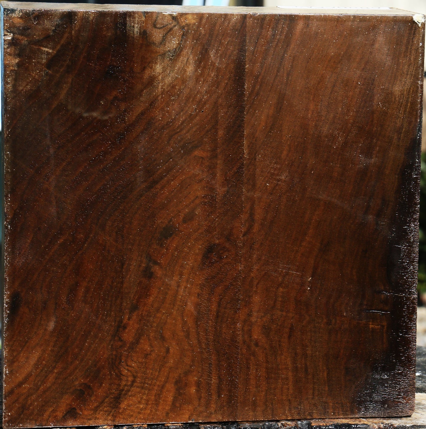 Figured Claro Walnut Bowl Blank