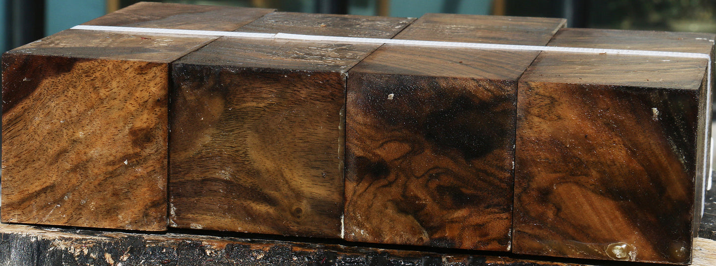 Claro Walnut Burl Turning Square 4-pack