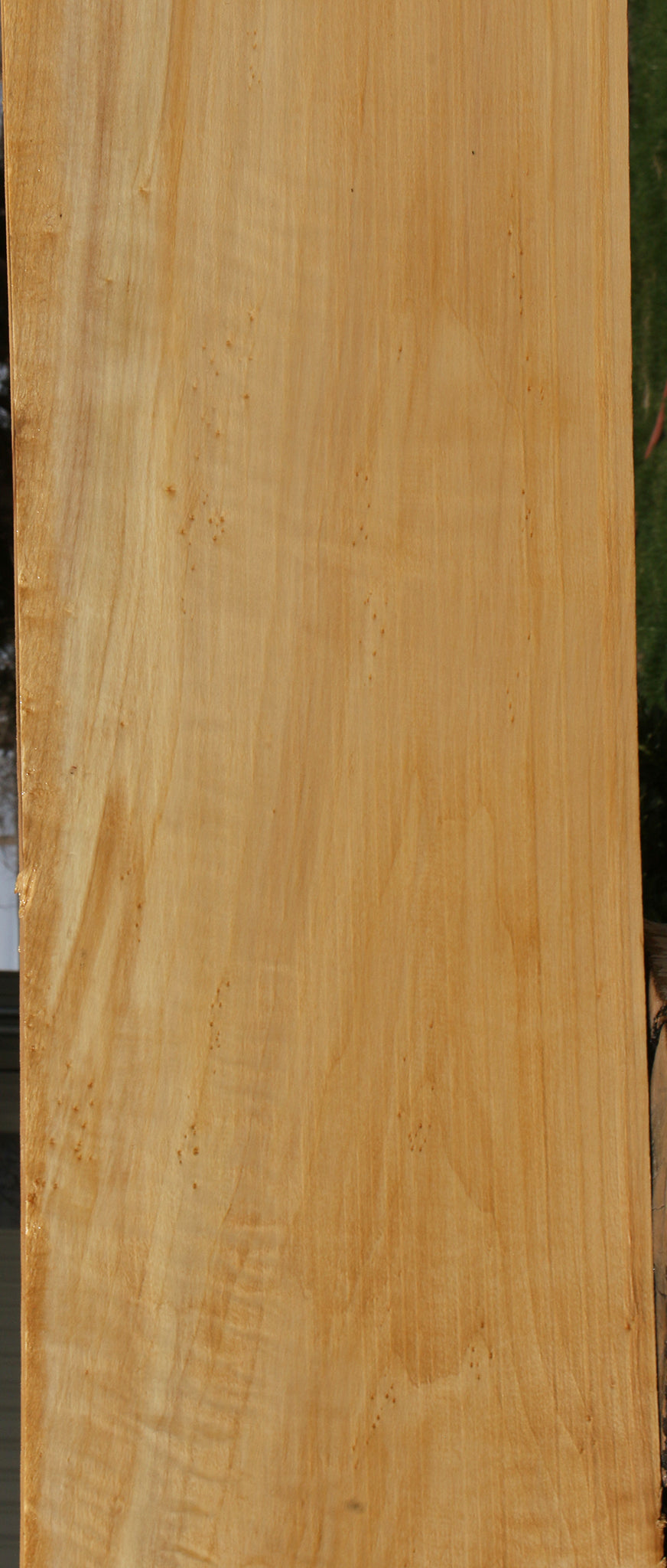 Extra Fancy Black Cottonwood Mantel (Free Shipping Excluded)