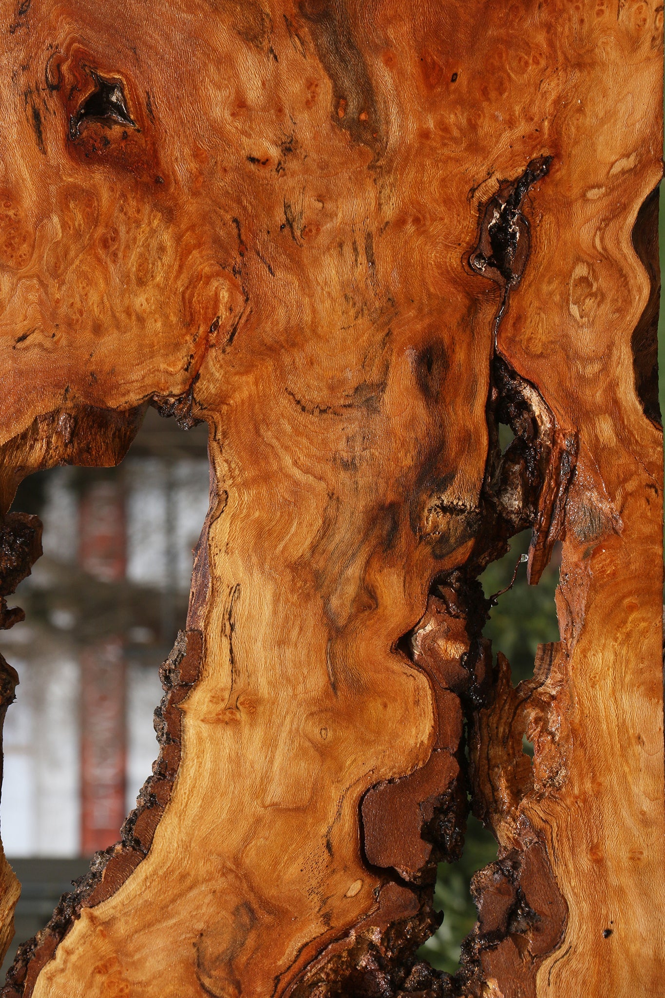 Sycamore Live Edge Lumber