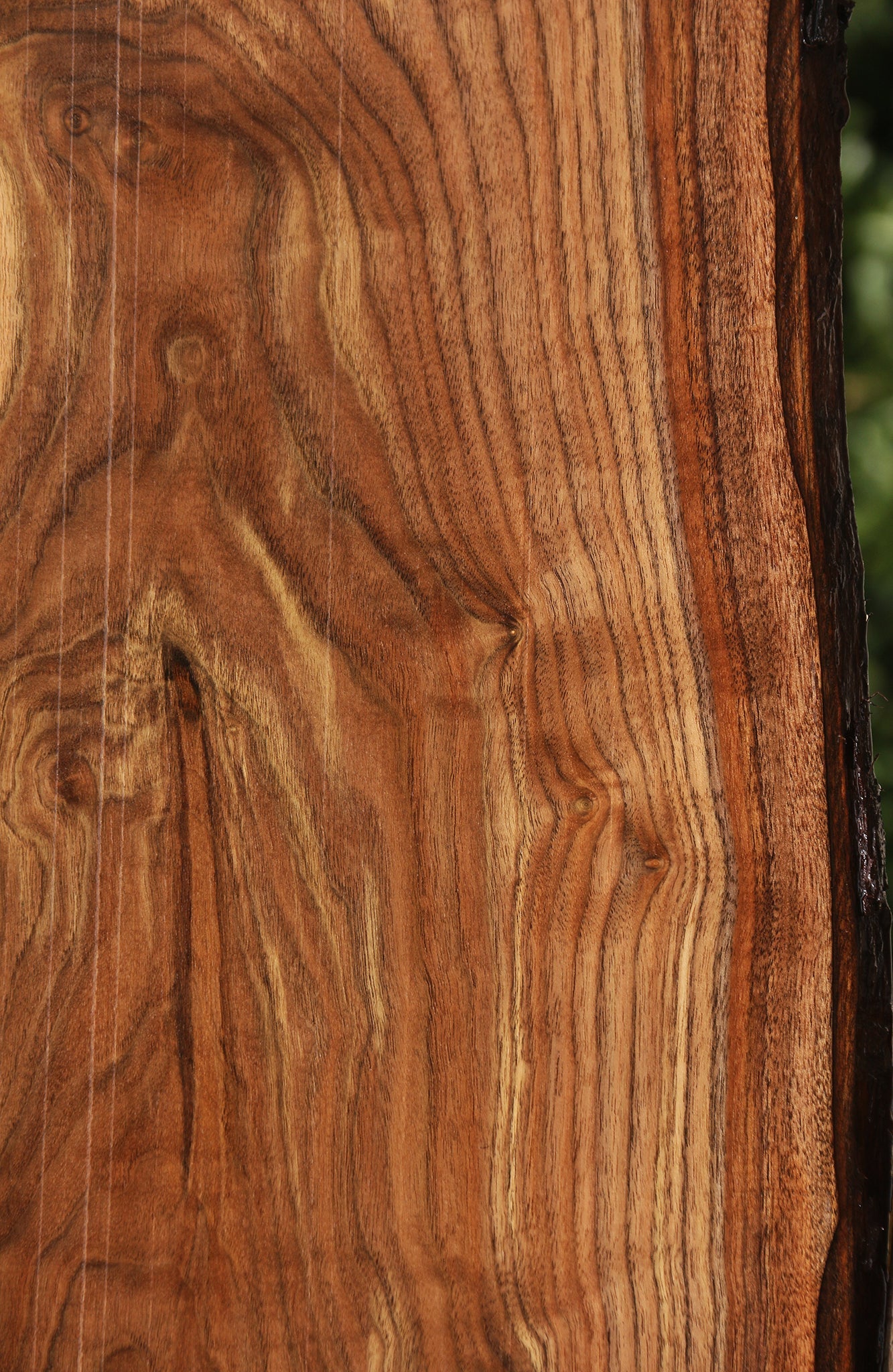 Claro Walnut Live Edge Lumber (Free Shipping Excluded)