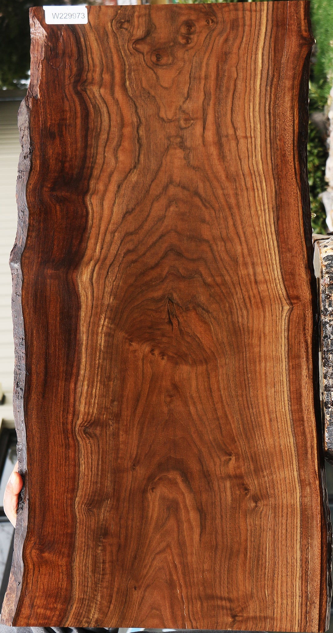 Figured Claro Walnut Live Edge Lumber – Cook Woods
