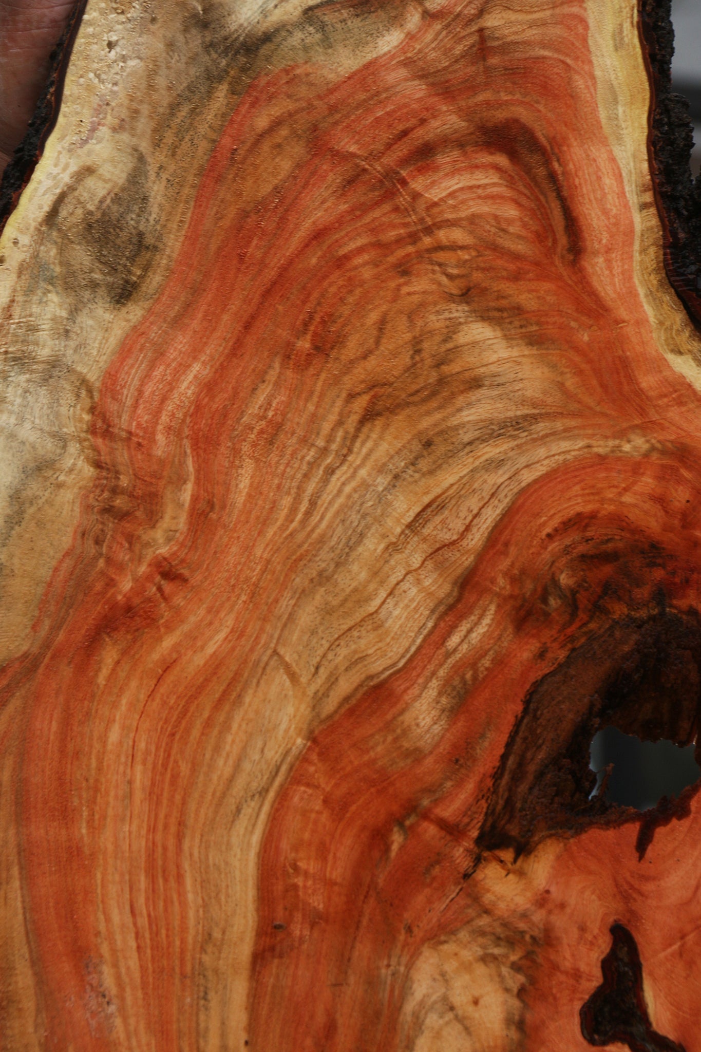 Extra Fancy Carob Live Edge Lumber