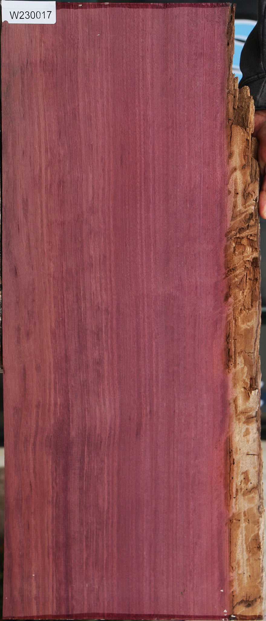 Purpleheart Live Edge Lumber