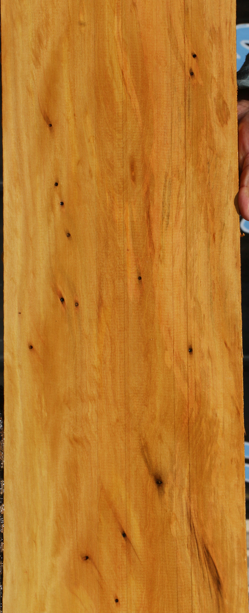 Figured Kirandy Lumber