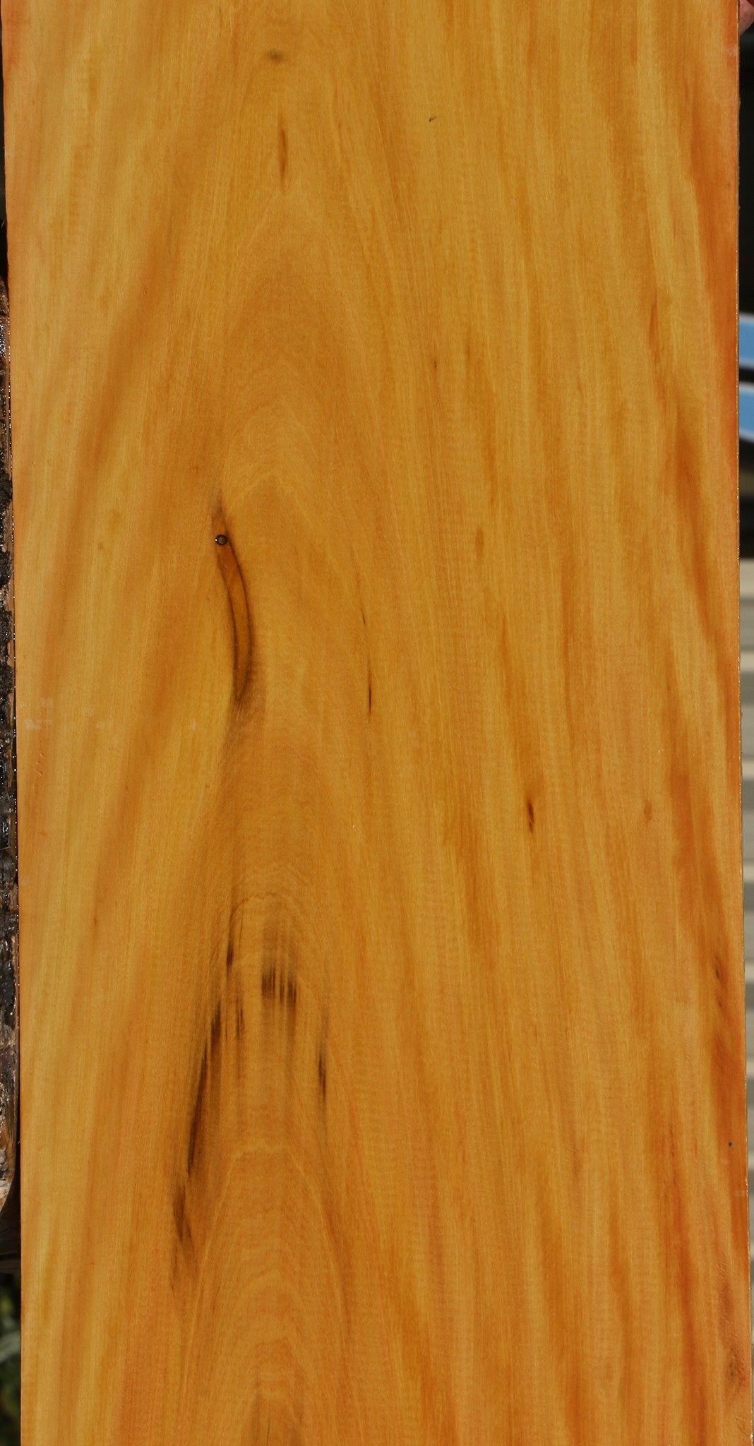 Extra Fancy Kirandy Lumber