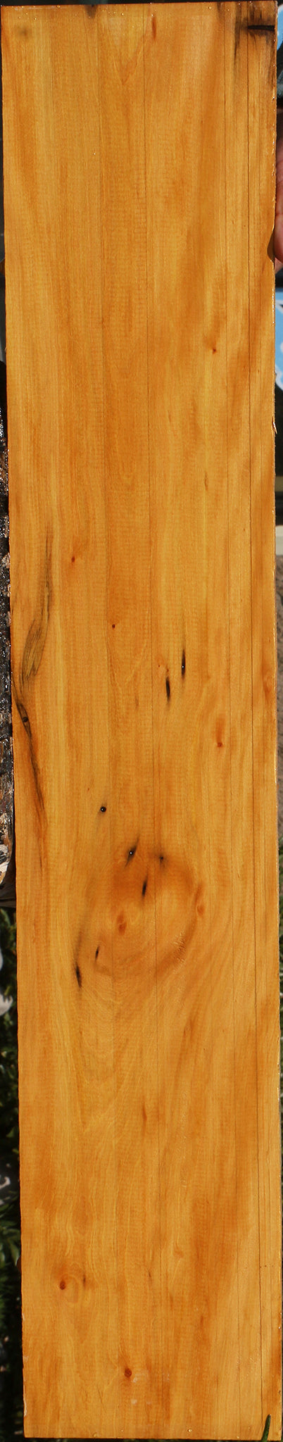 Figured Kirandy Lumber